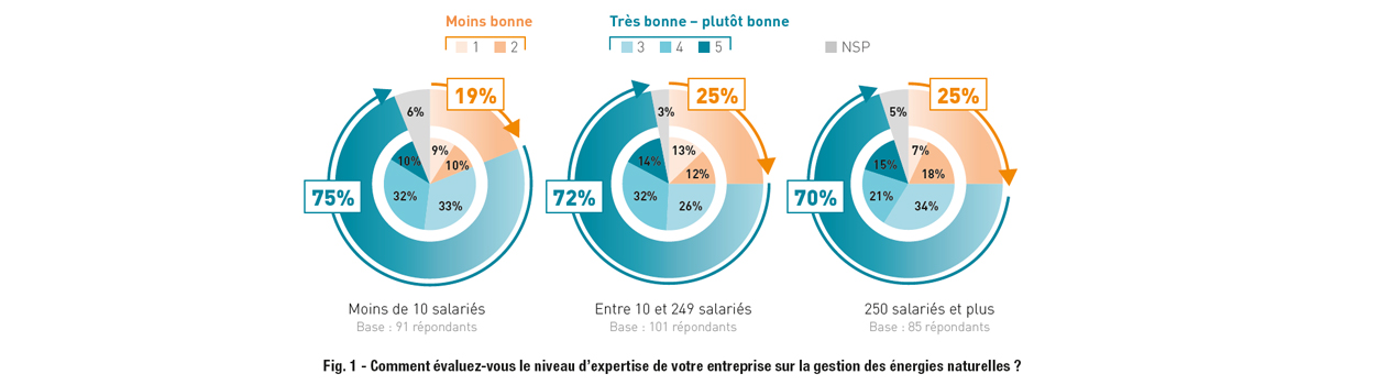 Enquête GEN Adexsi figure 1 page 4