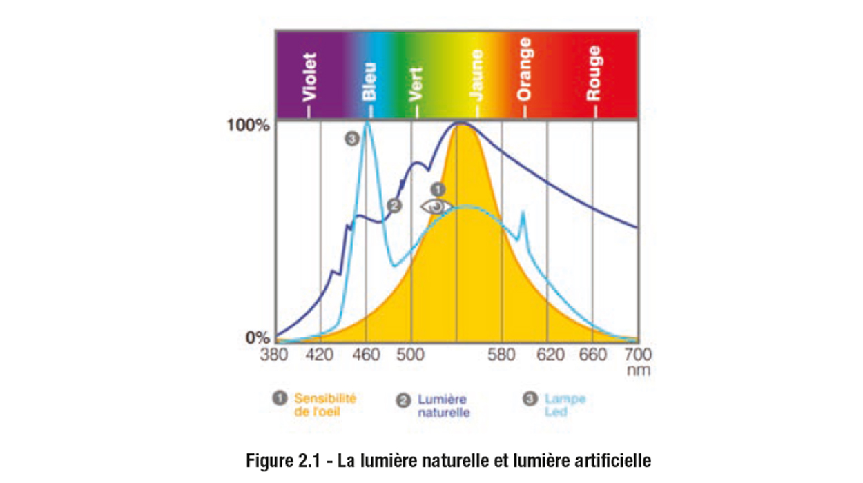 lumière naturelle contre lumière artificielle