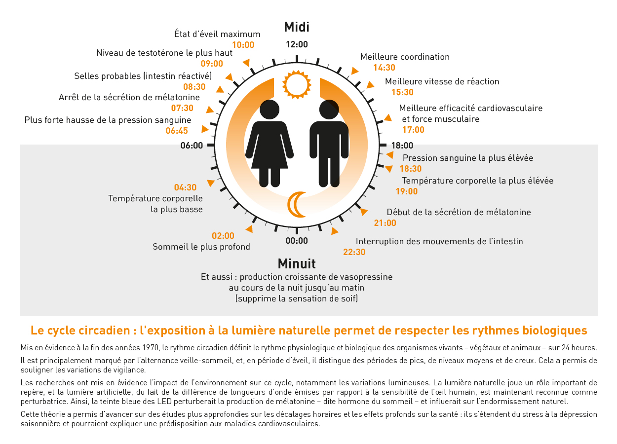 Livre blanc Adexsi des énergies naturelles dans le bâtiment